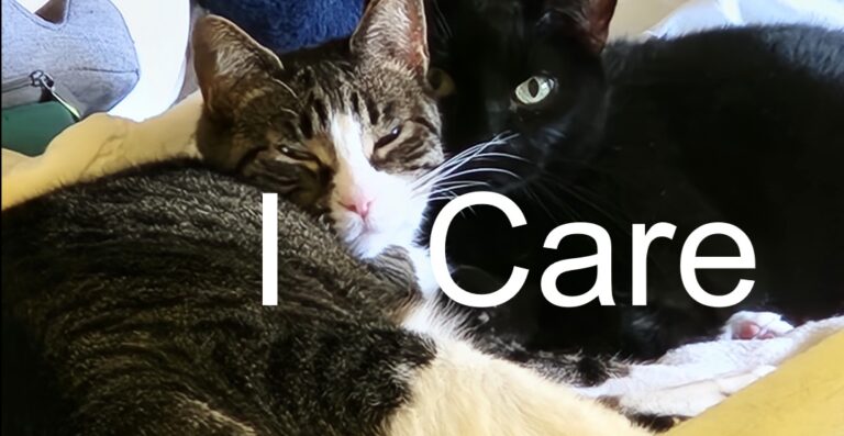 Choosing What to Care About